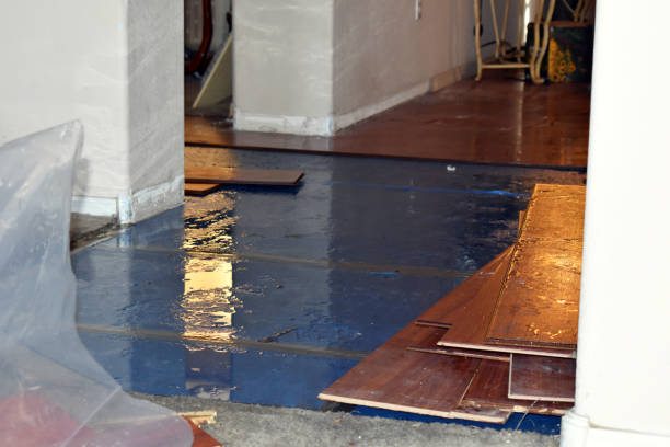 Professional Burst Pipe Cleanup technician working in Islesford, ME